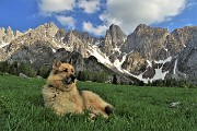 96 Relax ai Campelli con vista sulle PIccole Dolomiti Scalvine